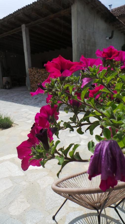 Montegrosso dʼAsti Sotto La Vigna Charm Stay Adults Only Vacation Suite מראה חיצוני תמונה